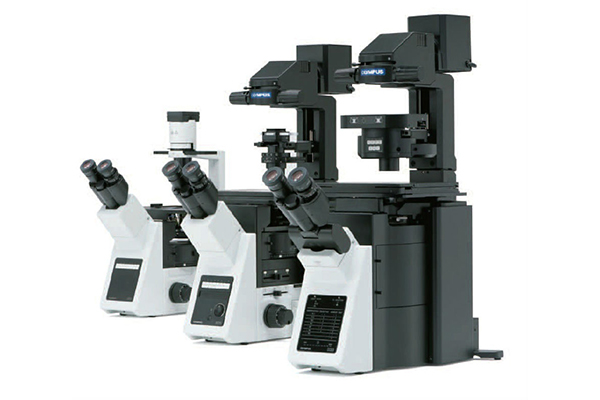 浦东荧光显微镜 荧光显微镜价格对比 浦东荧光显微镜买 土森供