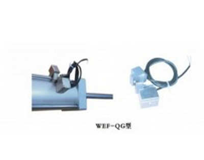 WEF-QG-2002