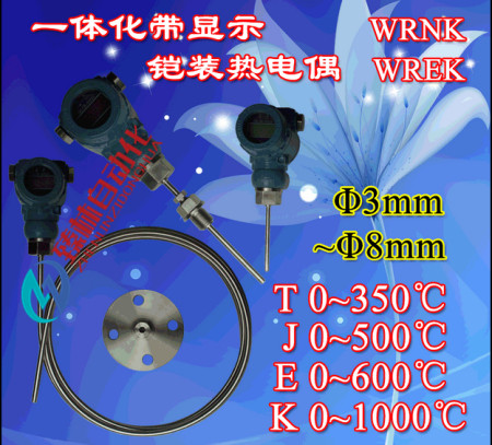 WRNK-526热电偶 防暴热电偶电厂