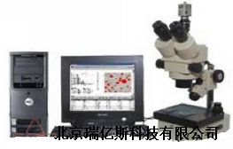 显微图像分析系统 RYS-XTZ-M厂家