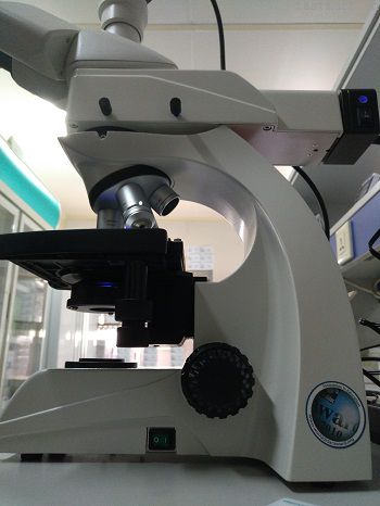 北京代理商徠卡DM500生物顯微鏡,徠卡DM500熒光顯微鏡,進口熒光顯微鏡