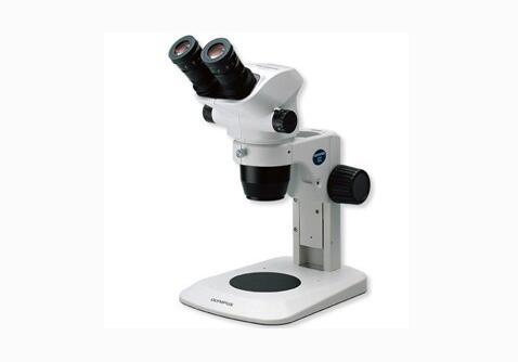 OLYMPUS奥林巴斯 SZ51临床级体视显微镜(双目) 