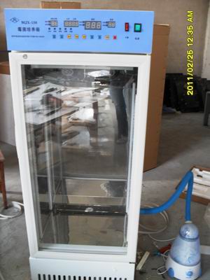 常州中捷MJX-250霉菌培养箱