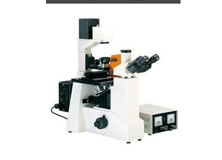 鸡西倒置荧光显微镜倒置显微镜 荧光生物显微镜