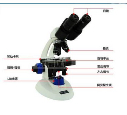 重庆奥特生物显微镜双目TN-B2031600X