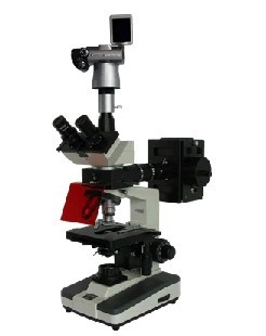 大安XSP-BM-13CS數碼落射熒光顯微鏡FR-2L三目落射熒光顯微鏡的使用方法