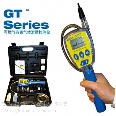 进口热销 GMI GT-41 可燃气氧气检测仪
