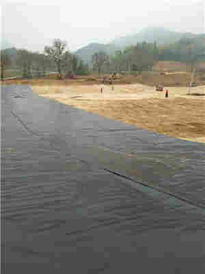 欢迎葫芦岛土工席垫-葫芦岛//集团//--欢迎您