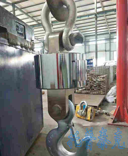 青浦15吨吊钩秤枣庄10T吊钩秤