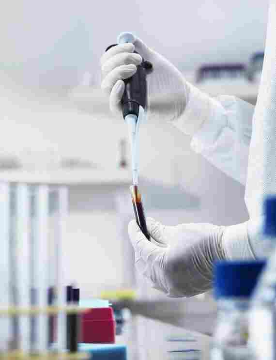 BC-009(人乳腺癌细胞)