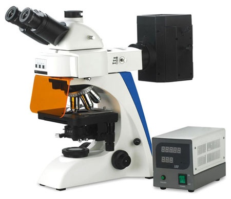 大连正置荧光显微镜BK-KL