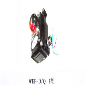 WEF-SG-1001