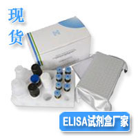 大鼠白介素10厂家elisa试剂盒(IL-10)