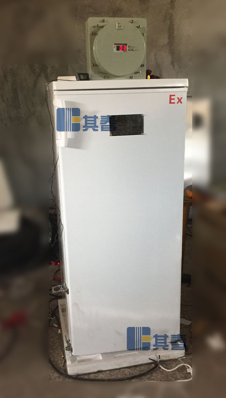 低溫防爆冰箱BL-LD140D立式單門防爆冷凍柜
