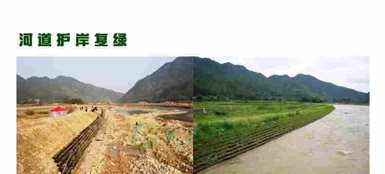 欢迎-日照双向拉伸土工格栅股份-欢迎您