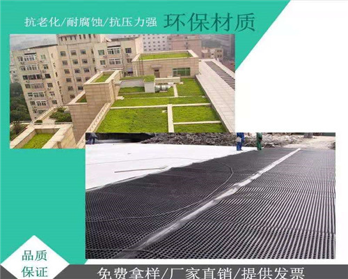 ：锦州园林绿化排水板(泽瑞有限公司—欢迎您