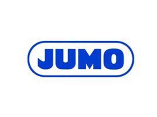 德国JUMO温度控制器