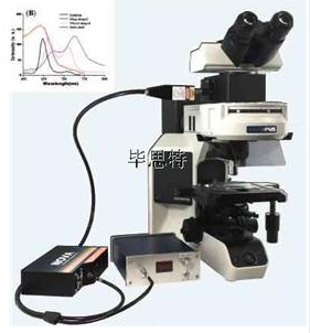 显微分光光度计显微光谱系统