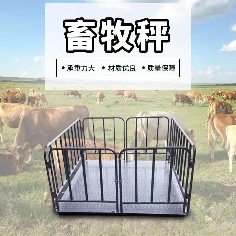 福泉市2吨畜牧秤1000公斤电子秤