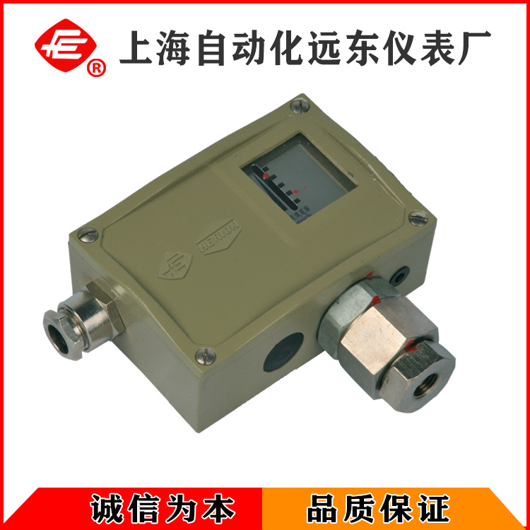 D501/7D防爆型压力控制器