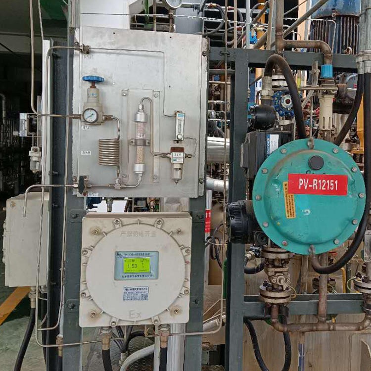 氧分析仪厂家 氧含量分析仪厂家 含氧量分析仪厂家 气体分析仪器厂家