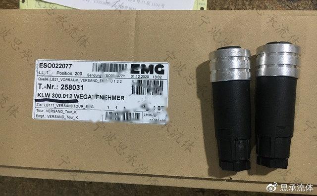 EMG位移传感器KLW300.012
