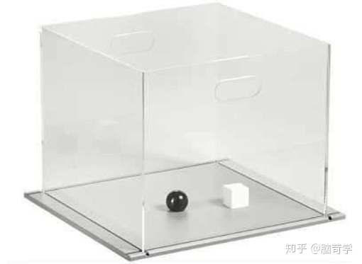 新物体识别测试系统