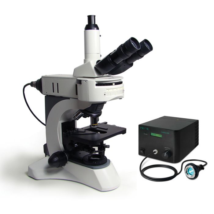 POLYSCIENCES直立荧光显微镜25039-1