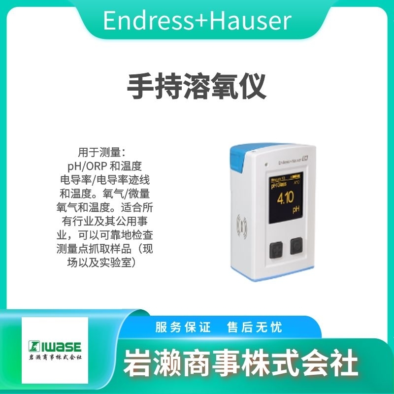 Endress+Hauser恩德斯豪斯/电磁流量计/压力变送计/雷达物位计/PMP23