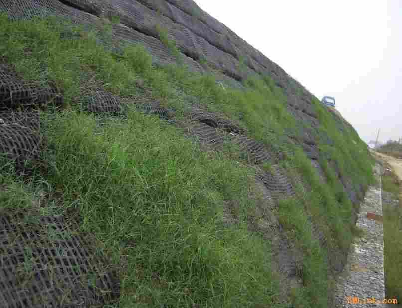 欢迎访问— 那曲护坡三维植被网厂家—欢迎您