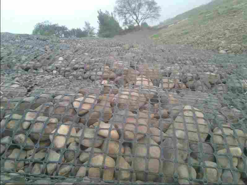 欢迎:张掖塑料土工格栅*免费拿样