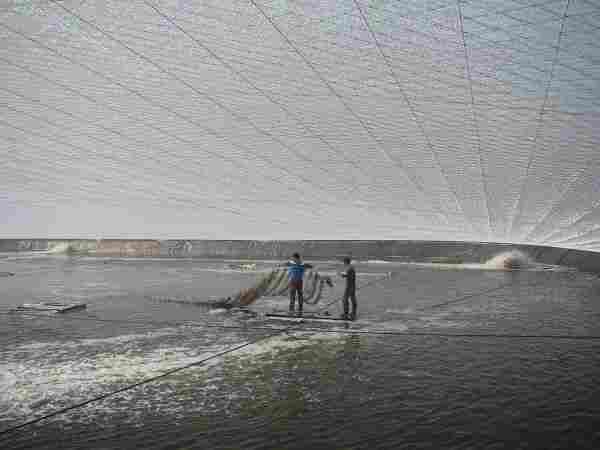 绥化塑料土工格室价格√√厂家诚信报价