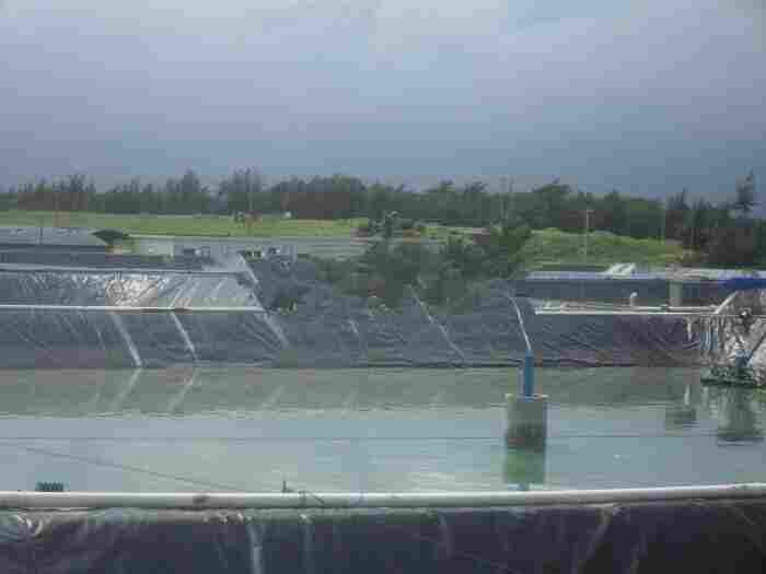 河南信阳排水板价格√√厂家质量保证