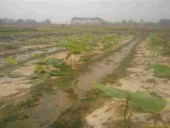 欢迎——七台河土工布厂家——厂家出厂价格--欢迎您