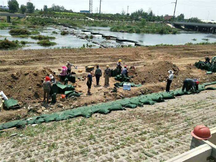 黑龙江鹤岗蜂巢土工格室厂家