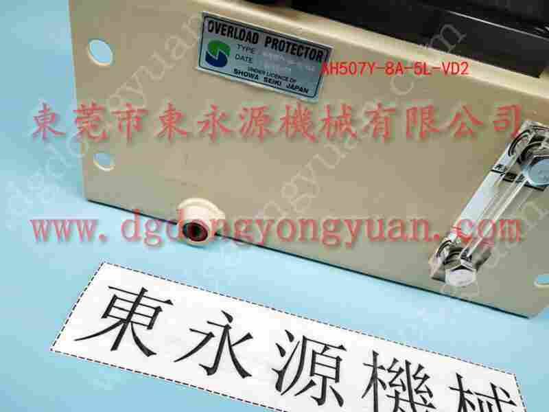 C2N-110 负荷装置维修，气动泵异响维修 找 东永源