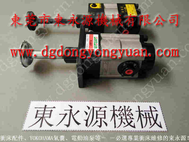 PH1651-HA负荷维修厂家，PF06-PRS	油泵