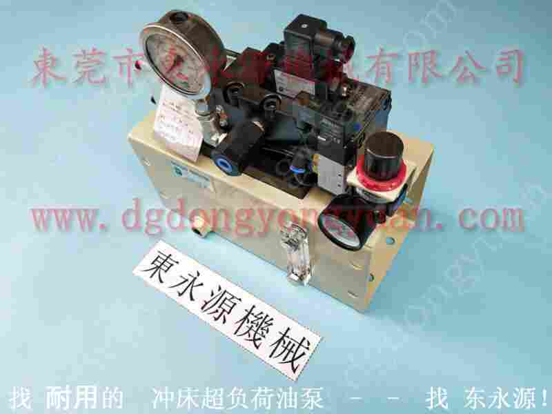 PH-1071-SG增压泵，VS10AA-760过载泵