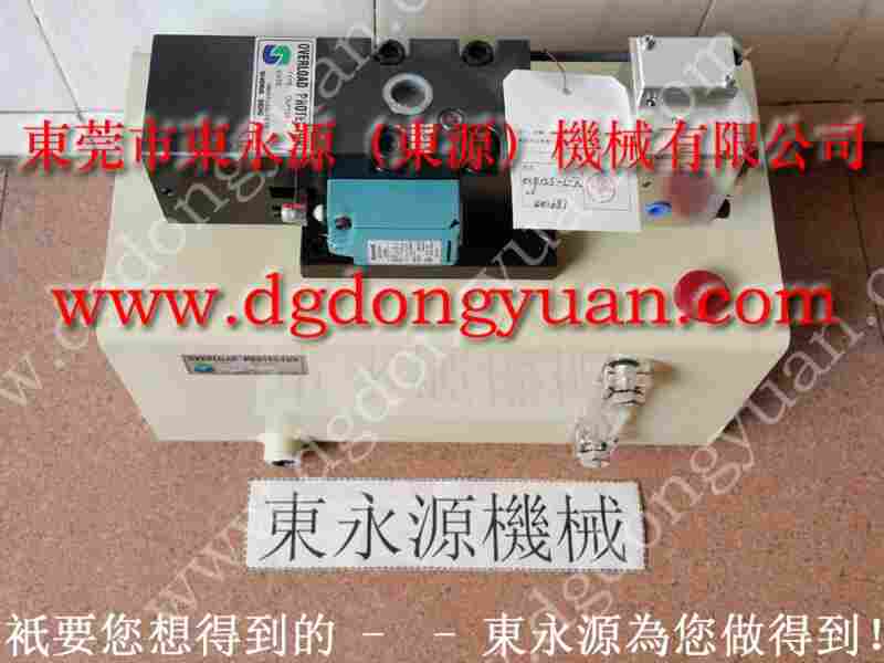 PE07-PS-1HS2508负荷泵 找东永源