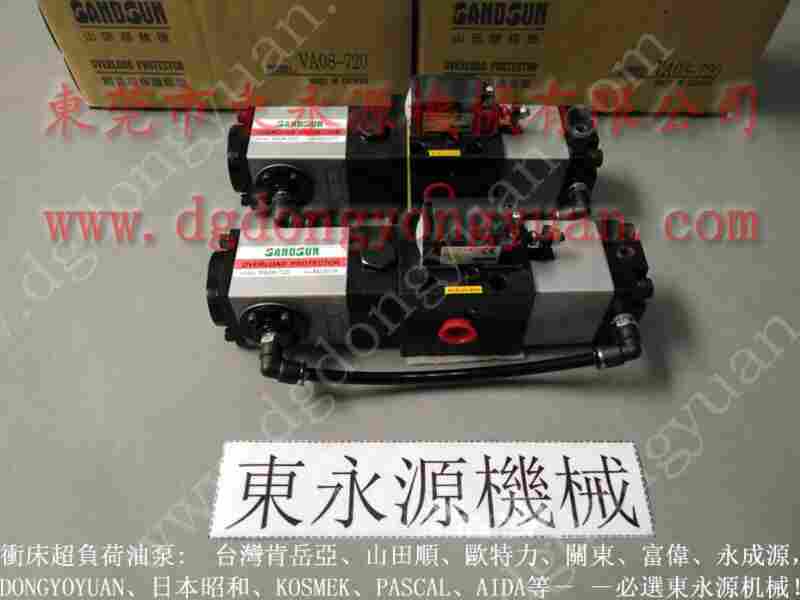 PE07-PS-1HS2508负荷泵 找东永源