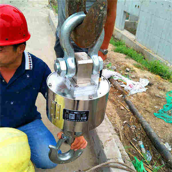 天津2吨电子行车秤