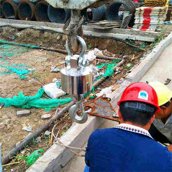 固原30t防爆电子吊秤