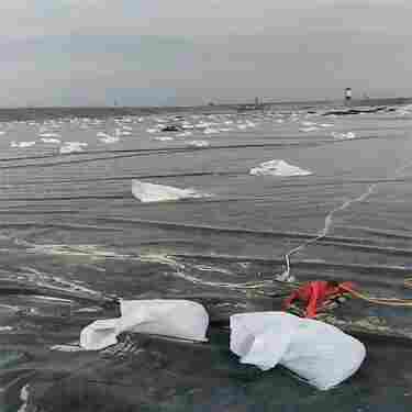 欢迎访问——宿迁土工膜---(欢迎莅临/本公司)).