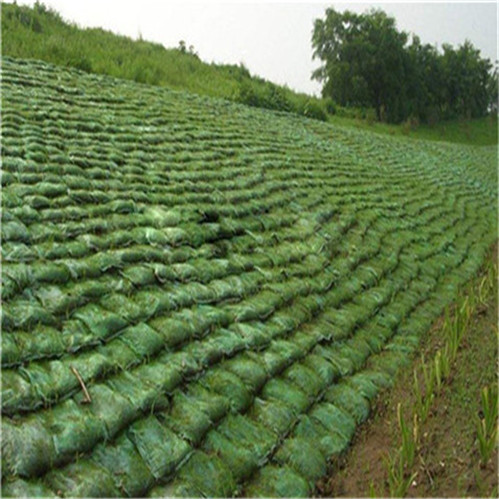 土工袋边坡绿化——双鸭山