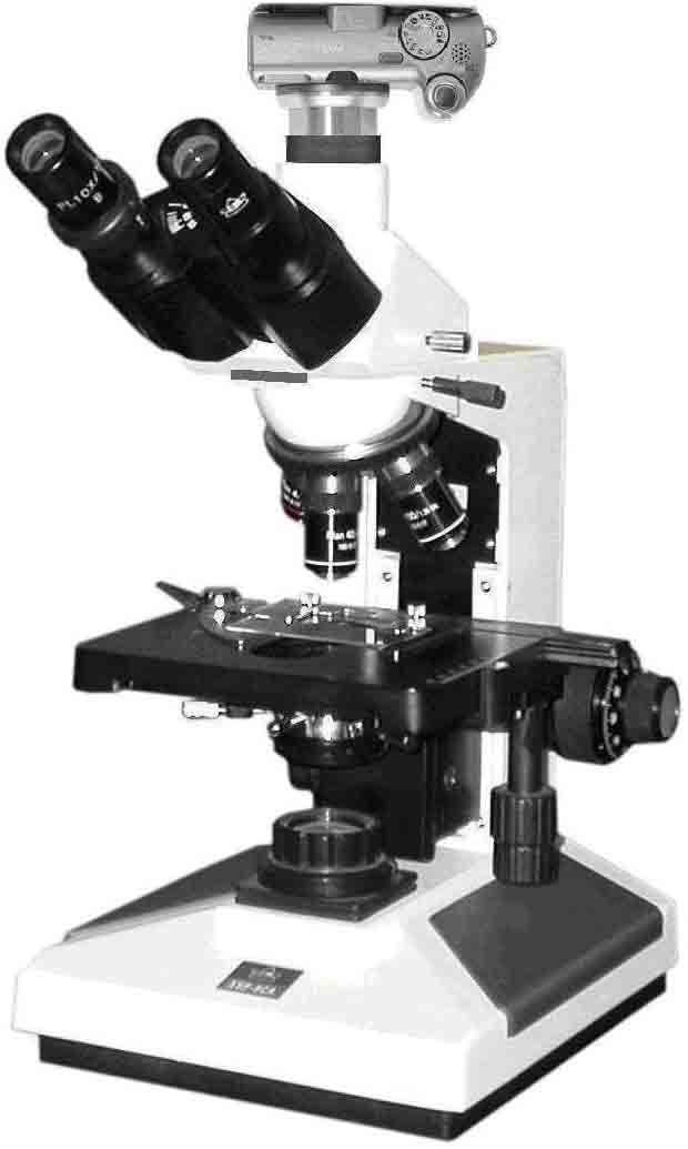 8CA-D數(shù)碼攝影生物顯微鏡