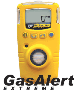 GAXT-G加拿大BW GAXT-GO3臭氧检测仪 GAXT-G
