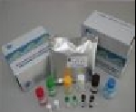 固態(tài)樣品發(fā)酵罐 型號(hào):sy0-Terrafors 庫(kù)號(hào)：M392507