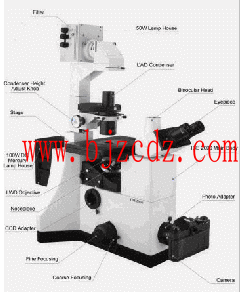 倒置荧光显微镜 CG.03-IBE2000