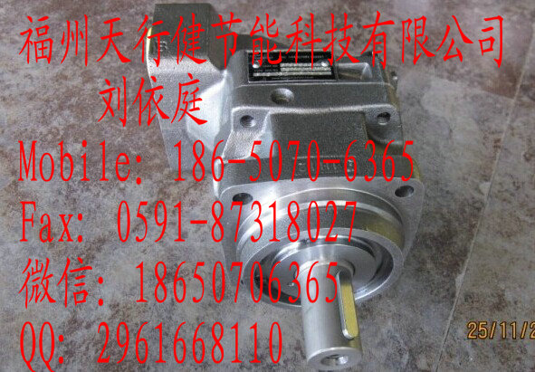 R45125 FL-Z-W-S原裝德國(guó)Rickmeier瑞克梅爾齒輪泵