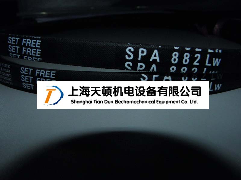 SPA5000LW進口防靜電三角帶